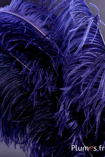 Autruche premium - 50-60 cm - bleu nuit